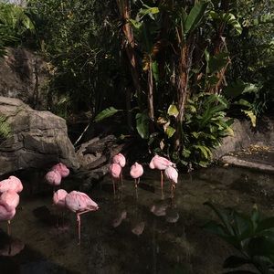 Meet your Posher, Kara